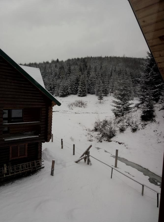 Hotel Wooddream Volovets Exterior foto