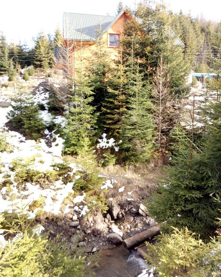 Hotel Wooddream Volovets Exterior foto
